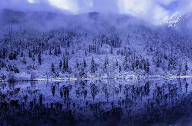 四川阿坝景区大雪纷飞 游客拍照留念