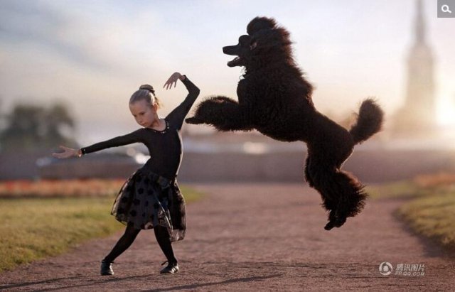 <b>俄罗斯贵宾犬搭档小主人跳芭蕾 画面唯美</b>