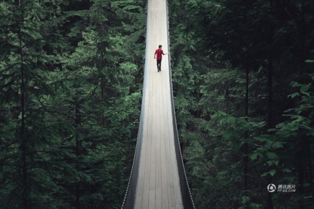 步步惊心！加拿大“惊悚吊桥”悬挂高空森林