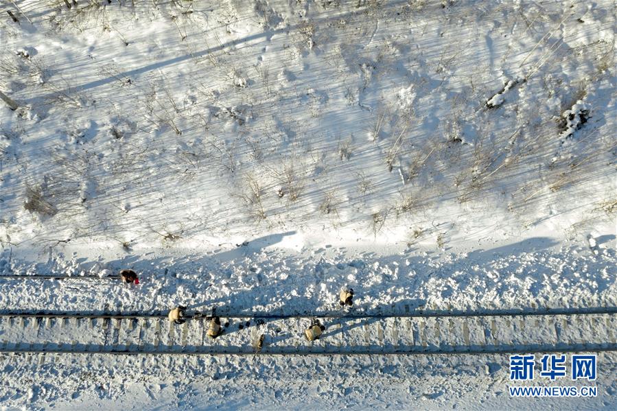 （新春走基层）（13）零下30℃的坚守——林海雪原铁道“卫士”